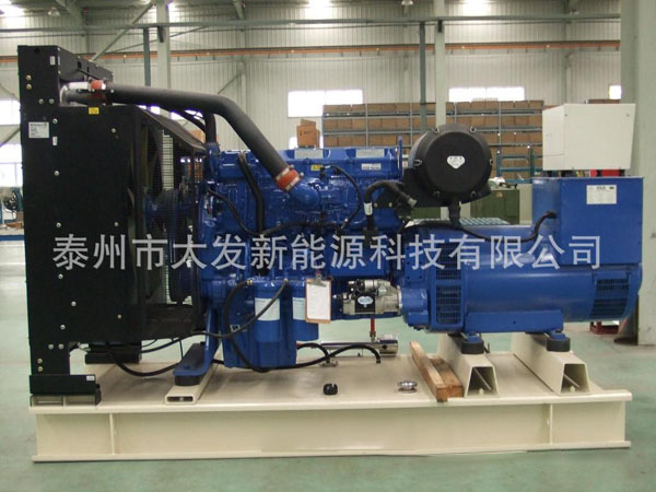 Perkins柴油發(fā)電機(jī)
